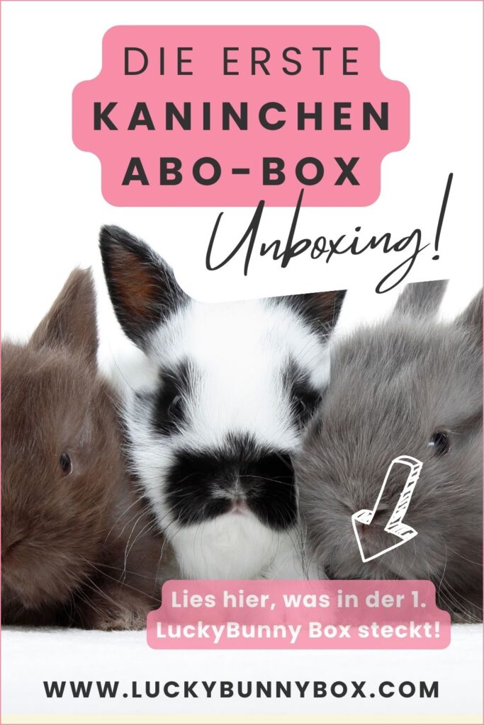 Pinterest Kaninchen Abo Box Lucky Bunny Box