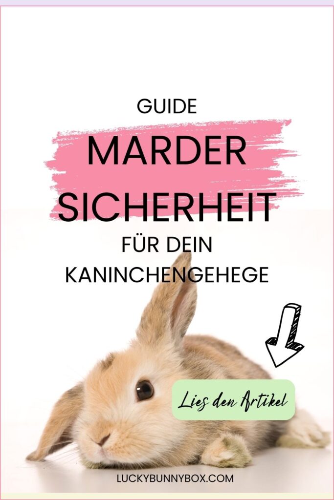 Pinterest Kaninchen Außengehege Mardersicher