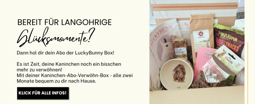 Kaninchen ABo Box Alle Infos