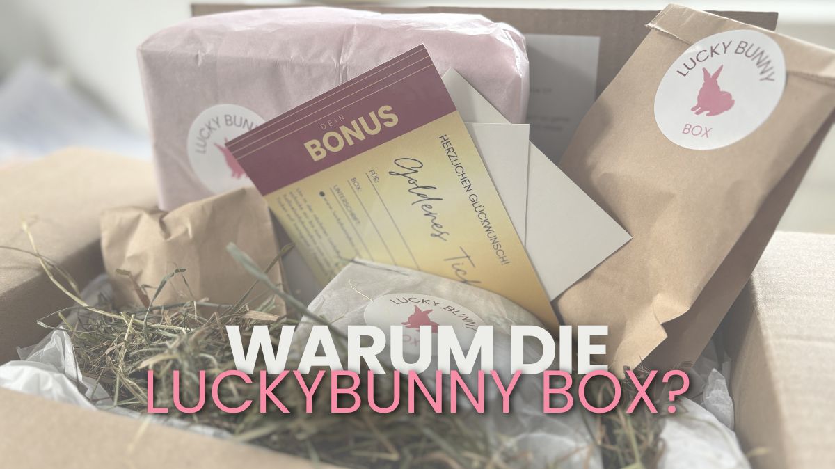 LuckyBunny Box kaninchen Abo box
