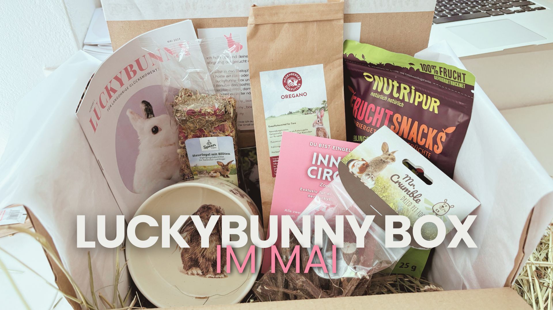 Kaninchen Abo Box LuckyBunny Box Mai
